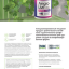 Лиофилизат AngioLive Original - Продукт для здоровья сосудов