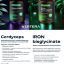 Iron Bisglycinate - Дополнительный источник железа